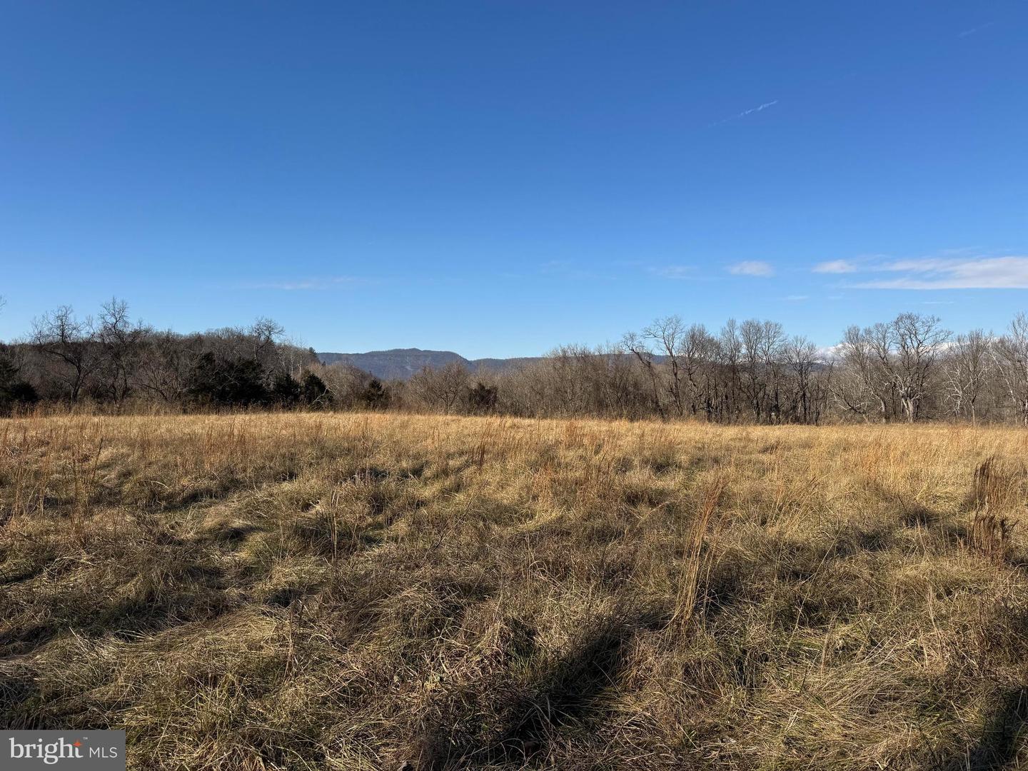 326 THUNDERBIRD RD, BENTONVILLE, Virginia 22610, ,Land,For sale,326 THUNDERBIRD RD,VAWR2013164 MLS # VAWR2013164