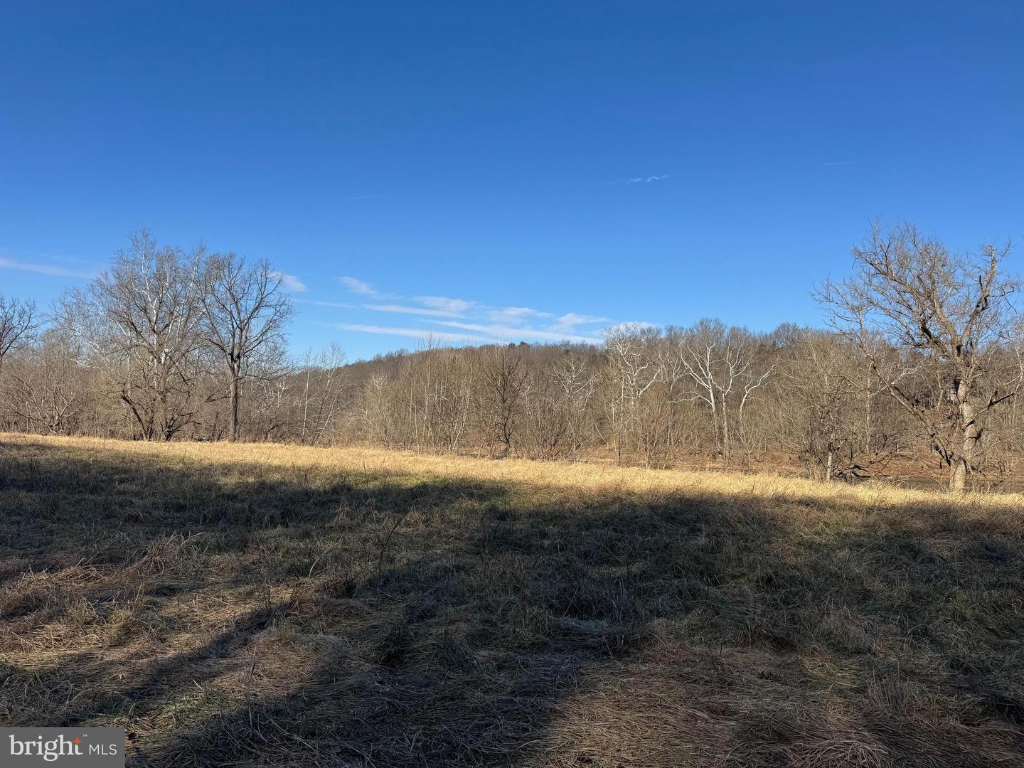 326 THUNDERBIRD RD, BENTONVILLE, Virginia 22610, ,Land,For sale,326 THUNDERBIRD RD,VAWR2013164 MLS # VAWR2013164