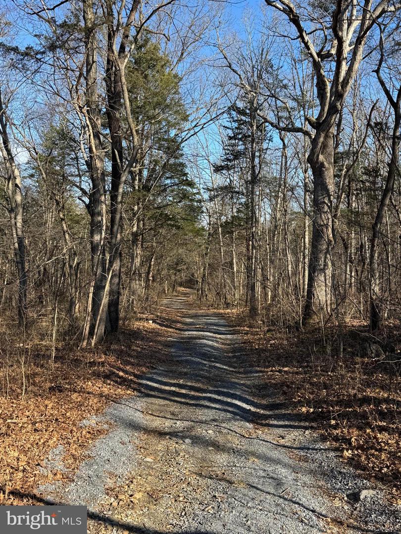 326 THUNDERBIRD RD, BENTONVILLE, Virginia 22610, ,Land,For sale,326 THUNDERBIRD RD,VAWR2013164 MLS # VAWR2013164