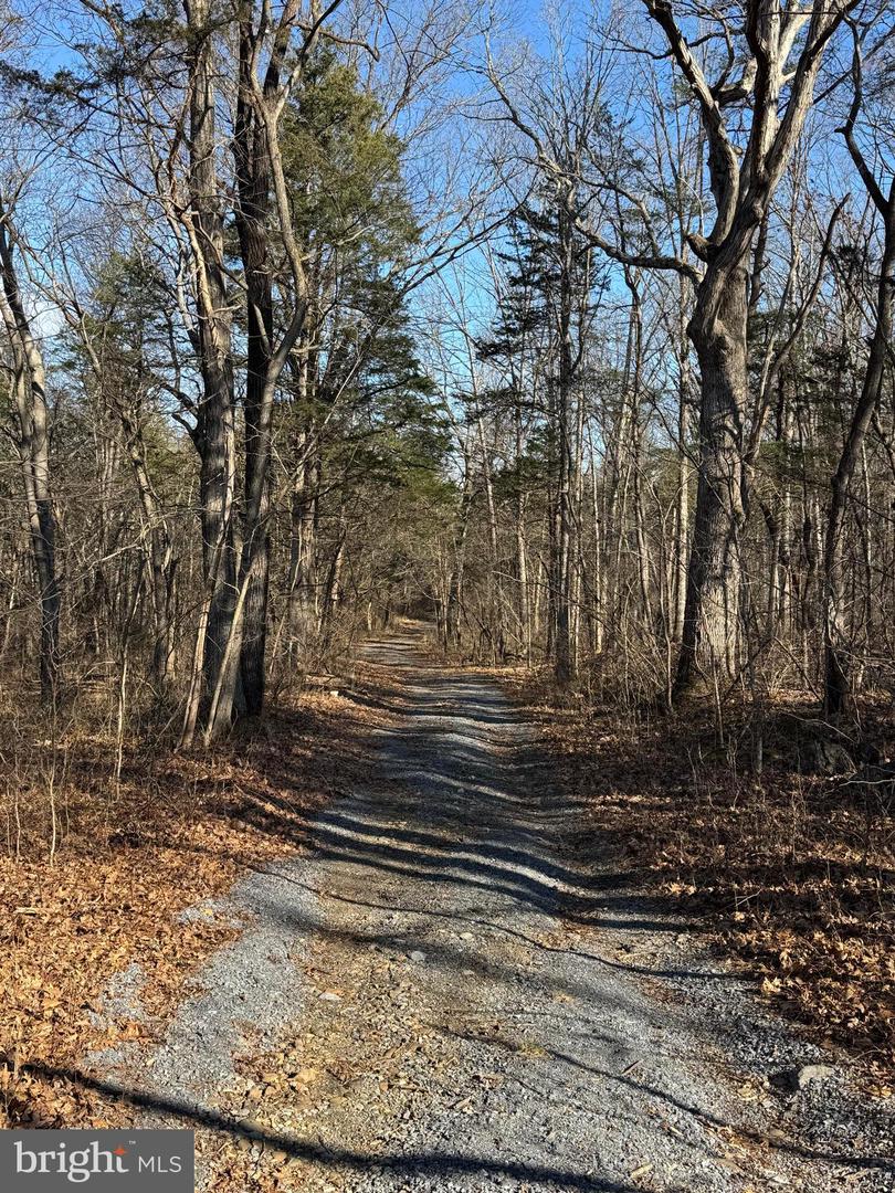 326 THUNDERBIRD RD, BENTONVILLE, Virginia 22610, ,Land,For sale,326 THUNDERBIRD RD,VAWR2013164 MLS # VAWR2013164