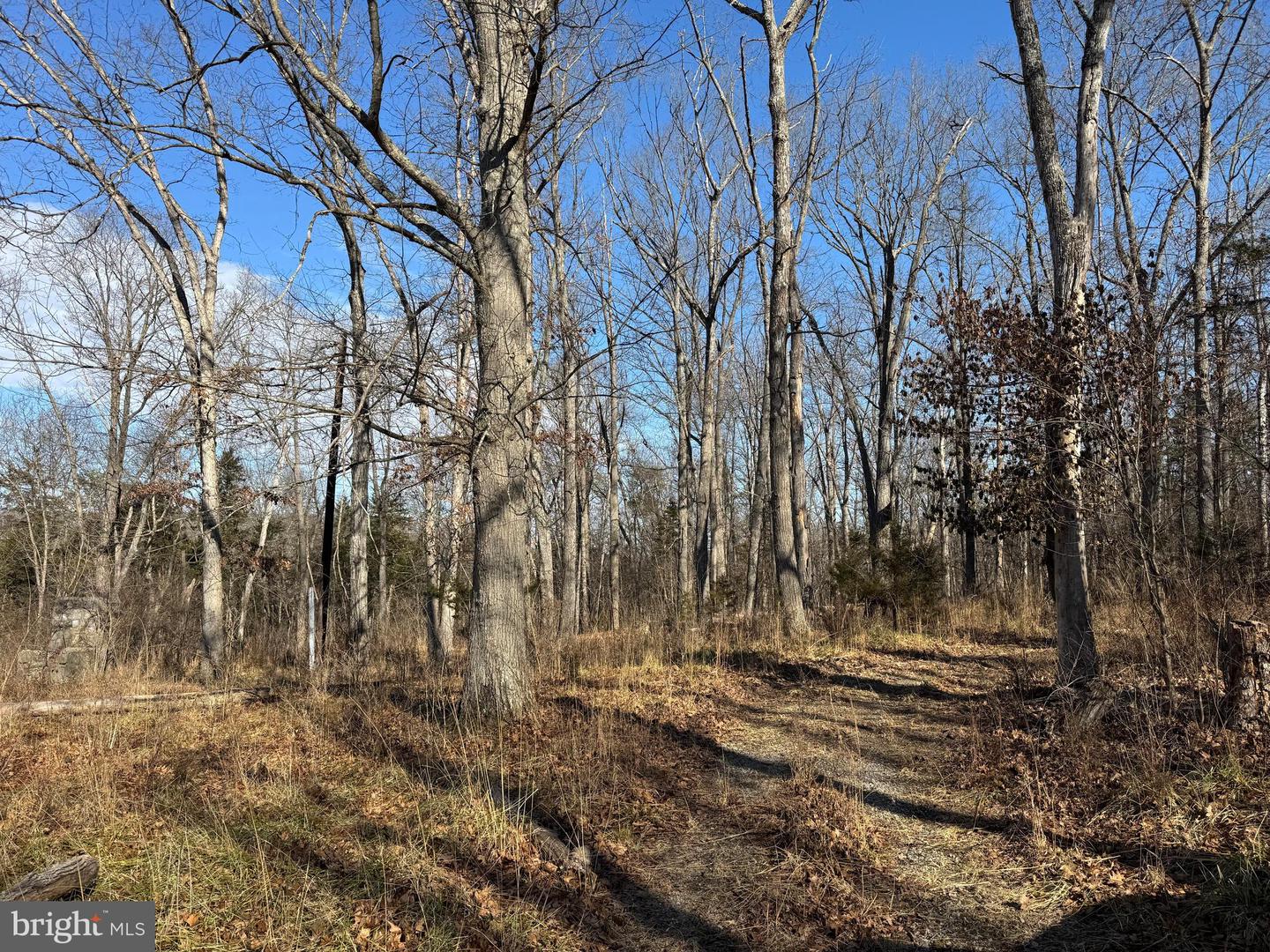 326 THUNDERBIRD RD, BENTONVILLE, Virginia 22610, ,Land,For sale,326 THUNDERBIRD RD,VAWR2013164 MLS # VAWR2013164