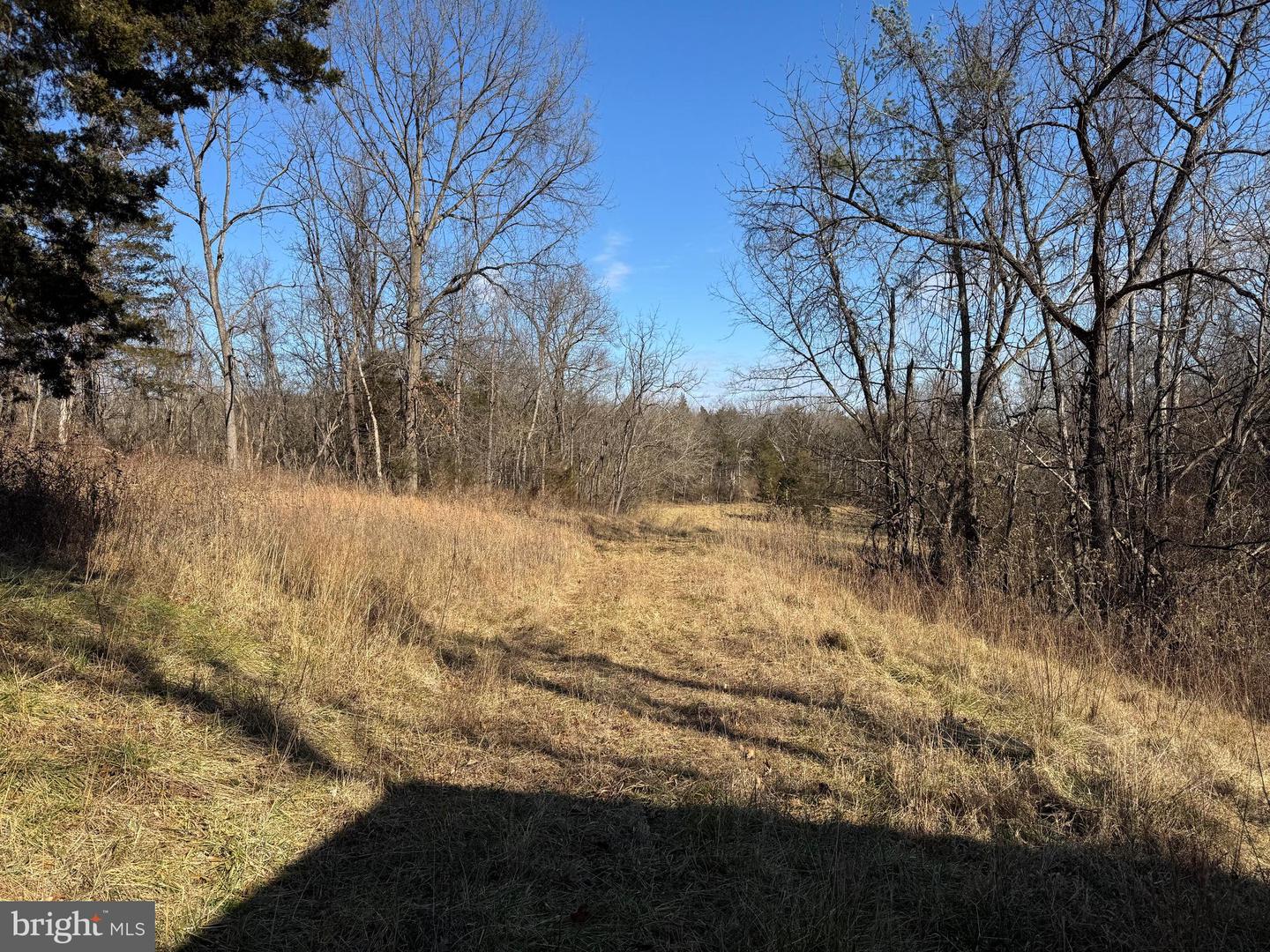 326 THUNDERBIRD RD, BENTONVILLE, Virginia 22610, ,Land,For sale,326 THUNDERBIRD RD,VAWR2013164 MLS # VAWR2013164