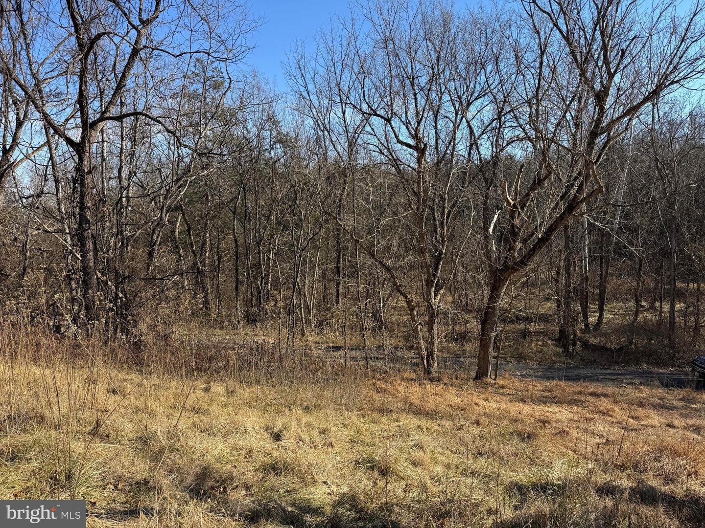 326 THUNDERBIRD RD, BENTONVILLE, Virginia 22610, ,Land,For sale,326 THUNDERBIRD RD,VAWR2013164 MLS # VAWR2013164