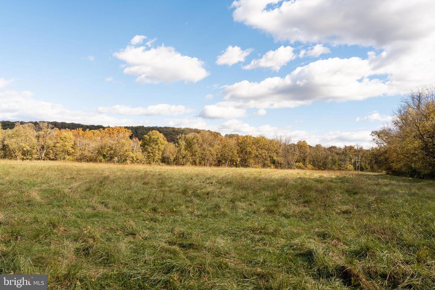 326 THUNDERBIRD RD, BENTONVILLE, Virginia 22610, ,Land,For sale,326 THUNDERBIRD RD,VAWR2013164 MLS # VAWR2013164