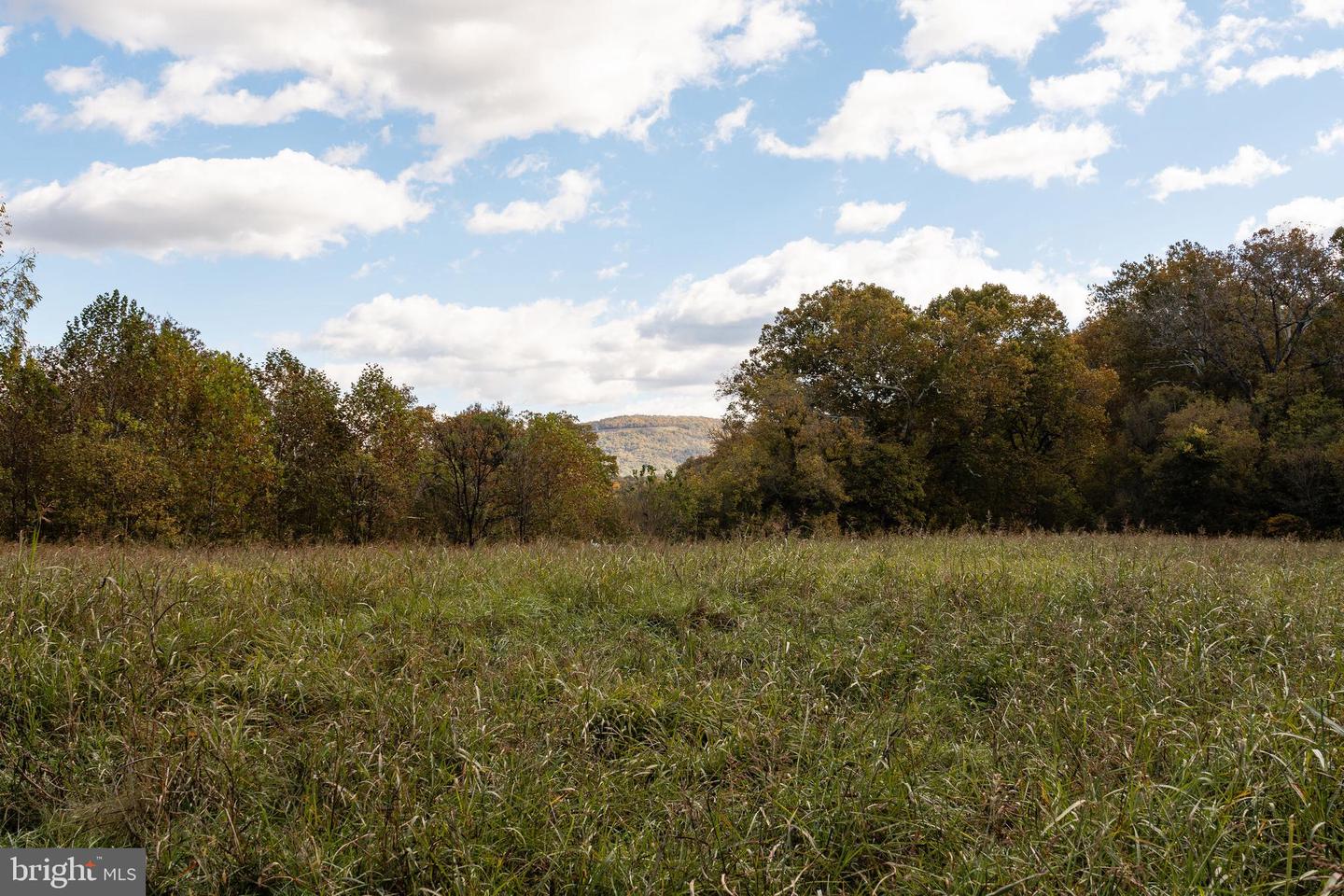 326 THUNDERBIRD RD, BENTONVILLE, Virginia 22610, ,Land,For sale,326 THUNDERBIRD RD,VAWR2013164 MLS # VAWR2013164