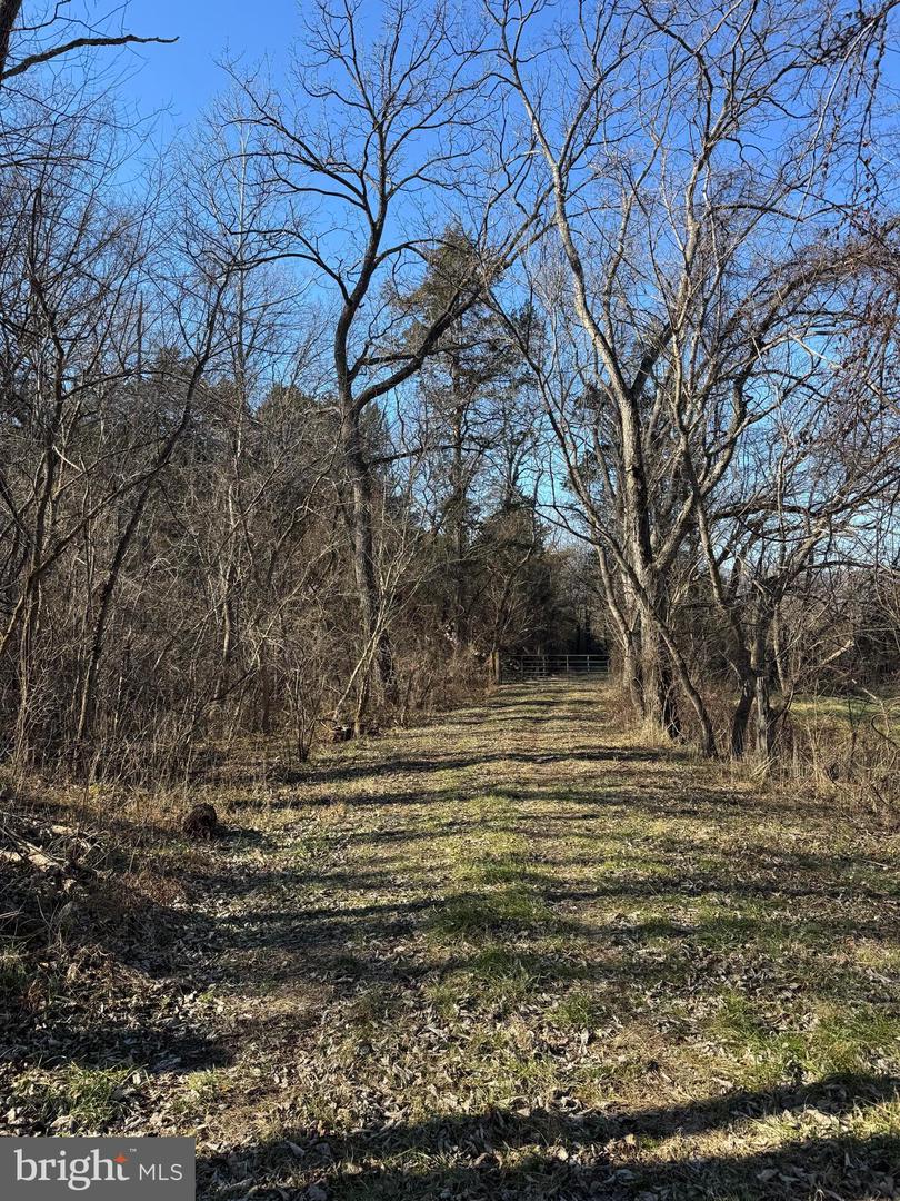 326 THUNDERBIRD RD, BENTONVILLE, Virginia 22610, ,Land,For sale,326 THUNDERBIRD RD,VAWR2013164 MLS # VAWR2013164