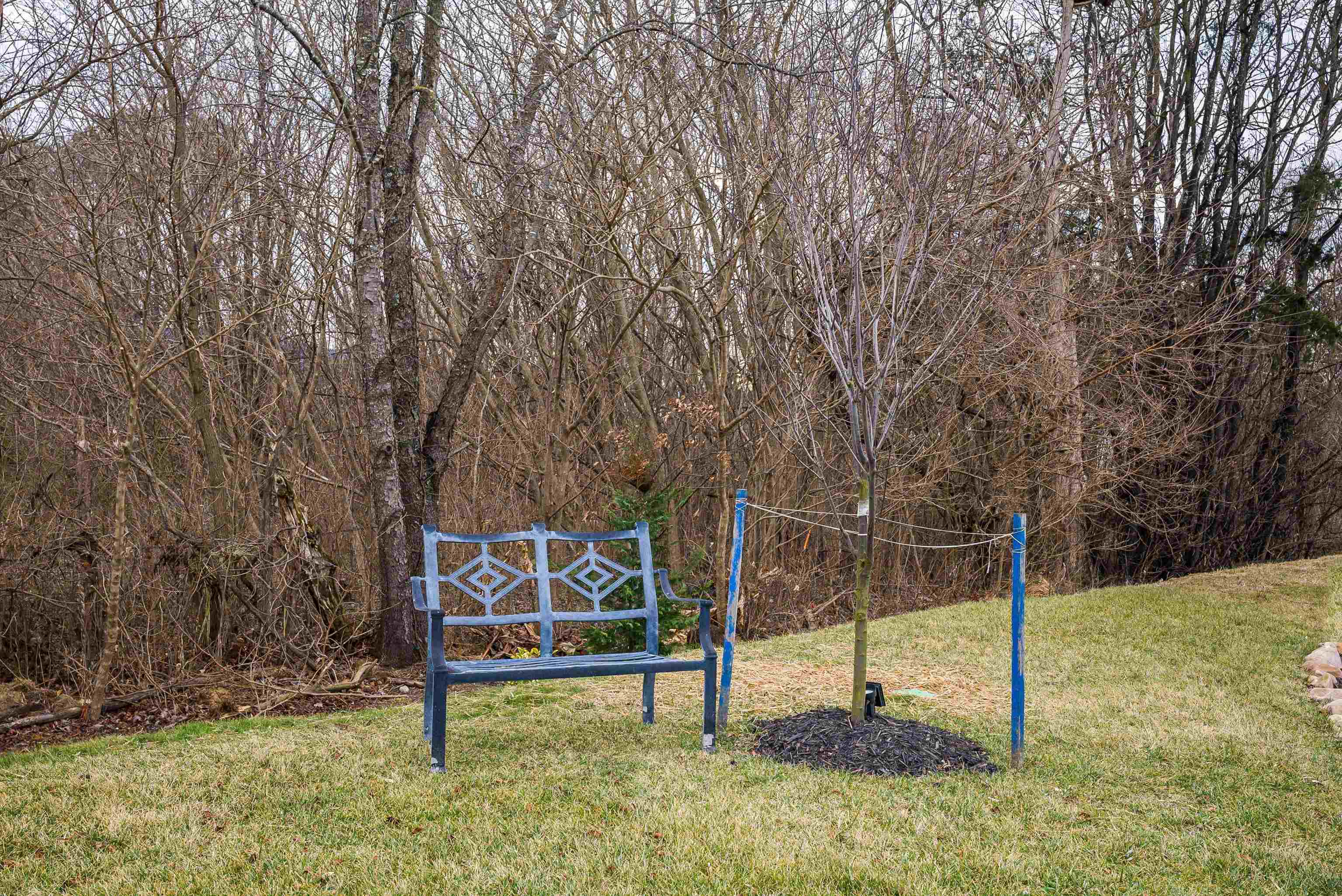 13 SOUTH PEAK DR, MCGAHEYSVILLE, Virginia 22840, 3 Bedrooms Bedrooms, ,2 BathroomsBathrooms,Residential,13 SOUTH PEAK DR,672596 MLS # 672596