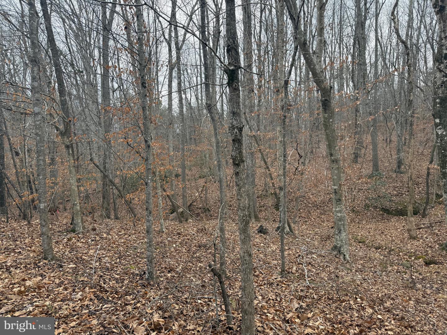 LOT 1 HARDWARE RD, ARVONIA, Virginia 23004, ,Land,For sale,LOT 1 HARDWARE RD,VABH2000258 MLS # VABH2000258