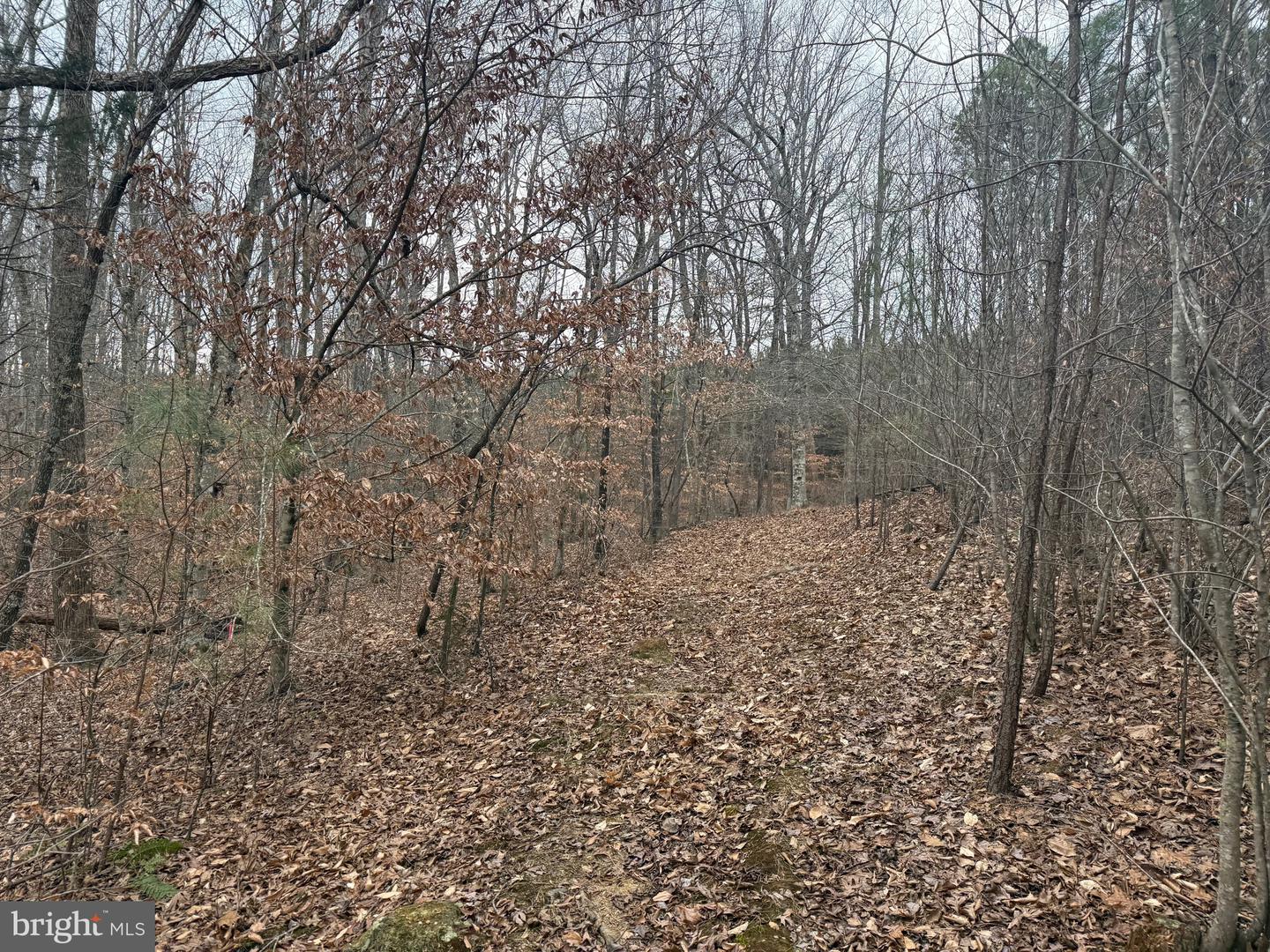 LOT 1 HARDWARE RD, ARVONIA, Virginia 23004, ,Land,For sale,LOT 1 HARDWARE RD,VABH2000258 MLS # VABH2000258