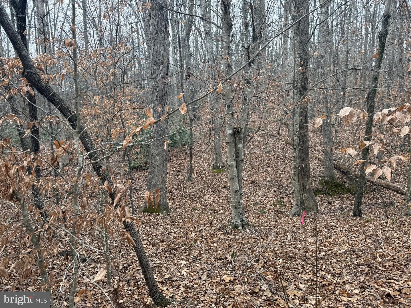 LOT 1 HARDWARE RD, ARVONIA, Virginia 23004, ,Land,For sale,LOT 1 HARDWARE RD,VABH2000258 MLS # VABH2000258