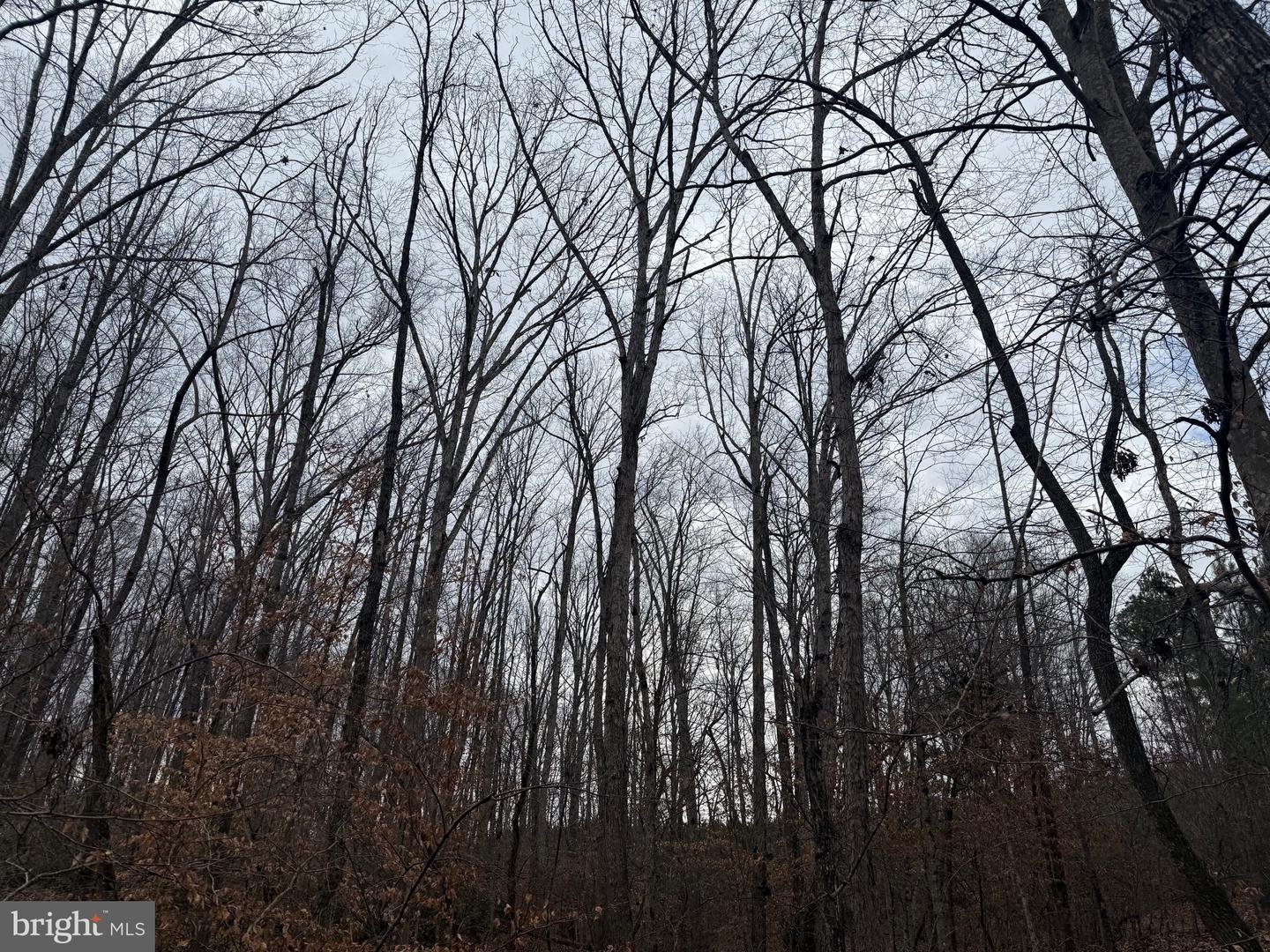 LOT 1 HARDWARE RD, ARVONIA, Virginia 23004, ,Land,For sale,LOT 1 HARDWARE RD,VABH2000258 MLS # VABH2000258