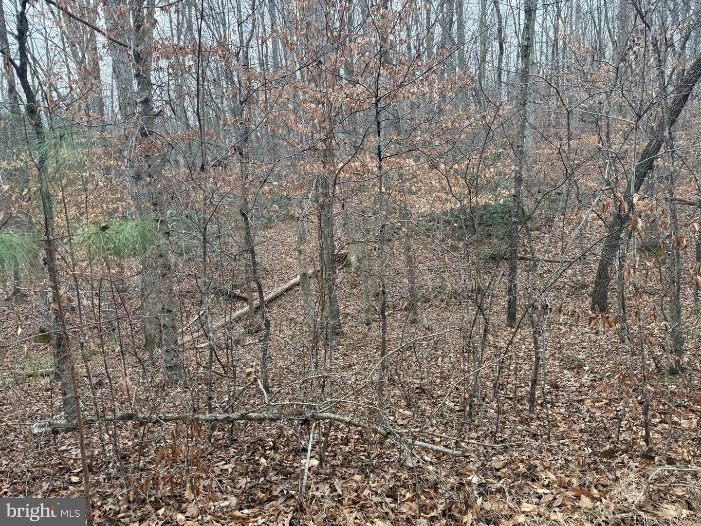 LOT 1 HARDWARE RD, ARVONIA, Virginia 23004, ,Land,For sale,LOT 1 HARDWARE RD,VABH2000258 MLS # VABH2000258