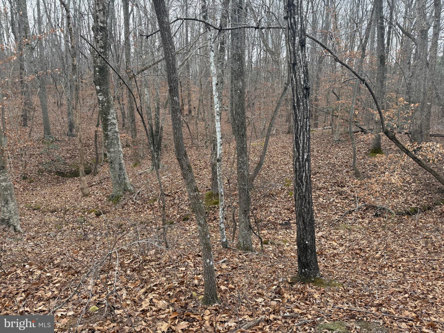 LOT 1 HARDWARE RD, ARVONIA, Virginia 23004, ,Land,For sale,LOT 1 HARDWARE RD,VABH2000258 MLS # VABH2000258