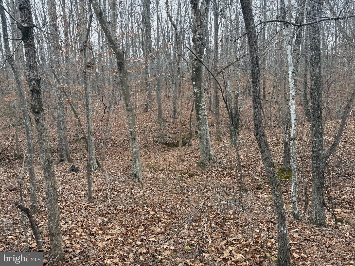 LOT 1 HARDWARE RD, ARVONIA, Virginia 23004, ,Land,For sale,LOT 1 HARDWARE RD,VABH2000258 MLS # VABH2000258