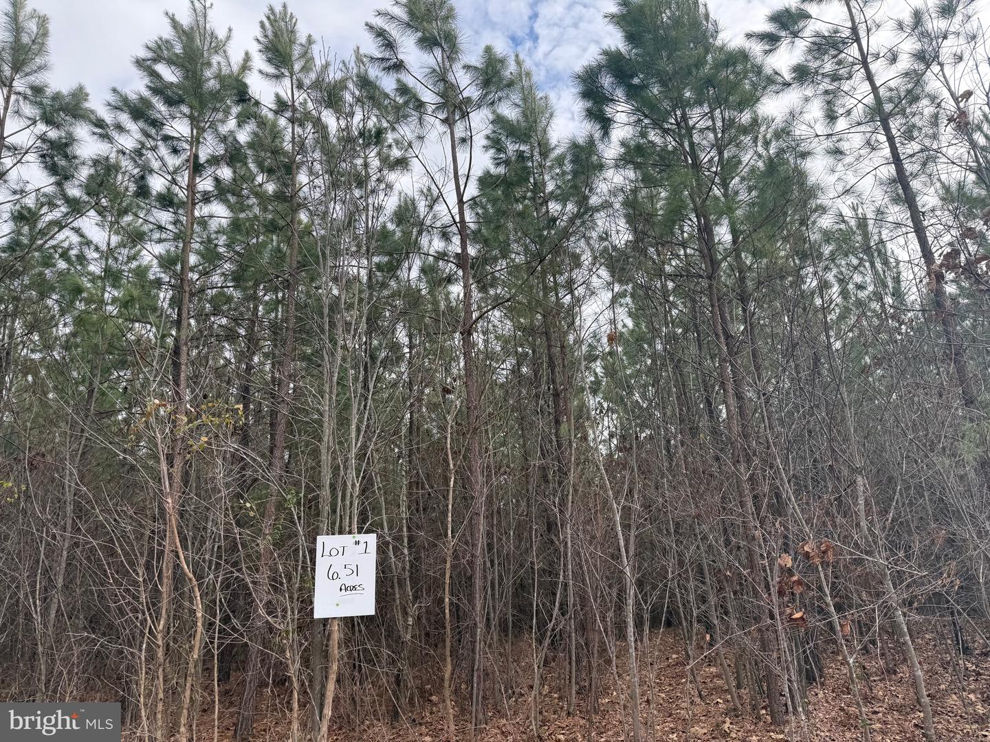 LOT 1 HARDWARE RD, ARVONIA, Virginia 23004, ,Land,For sale,LOT 1 HARDWARE RD,VABH2000258 MLS # VABH2000258