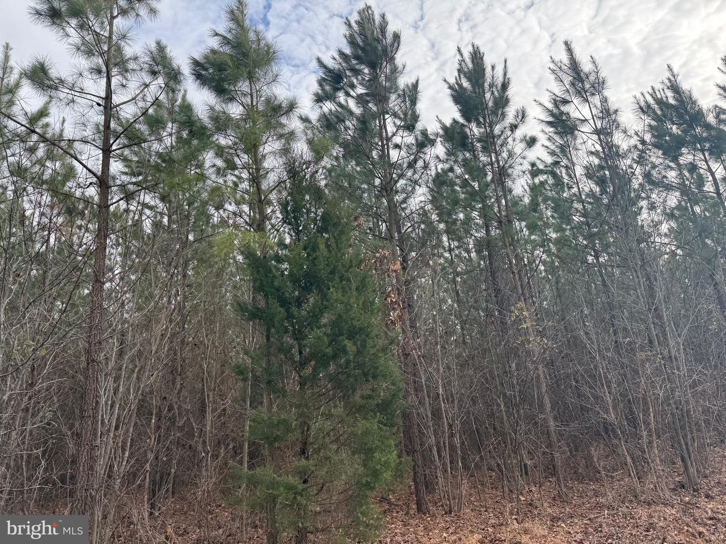 LOT 1 HARDWARE RD, ARVONIA, Virginia 23004, ,Land,For sale,LOT 1 HARDWARE RD,VABH2000258 MLS # VABH2000258