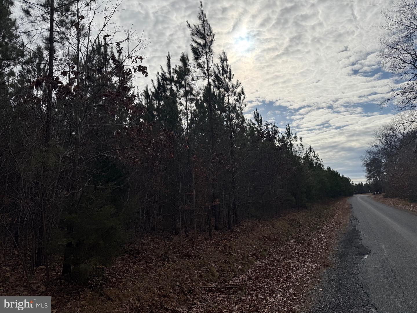 LOT 1 HARDWARE RD, ARVONIA, Virginia 23004, ,Land,For sale,LOT 1 HARDWARE RD,VABH2000258 MLS # VABH2000258