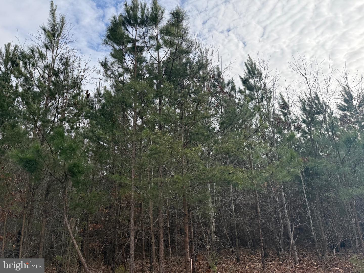 LOT 1 HARDWARE RD, ARVONIA, Virginia 23004, ,Land,For sale,LOT 1 HARDWARE RD,VABH2000258 MLS # VABH2000258