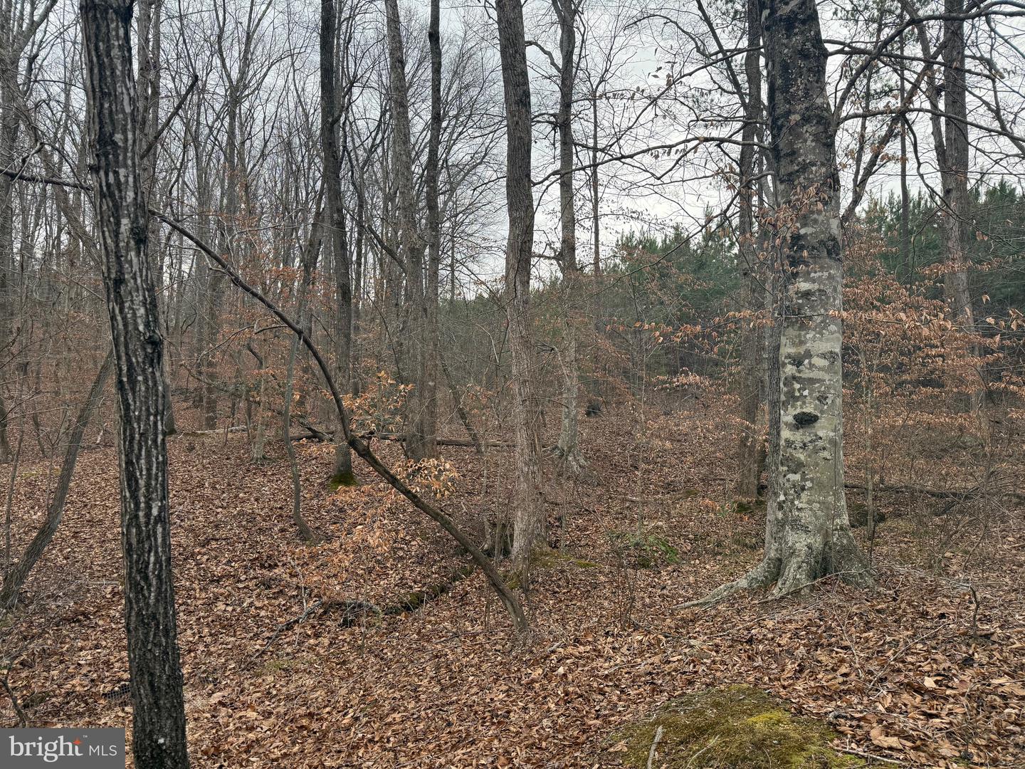 LOT 1 HARDWARE RD, ARVONIA, Virginia 23004, ,Land,For sale,LOT 1 HARDWARE RD,VABH2000258 MLS # VABH2000258