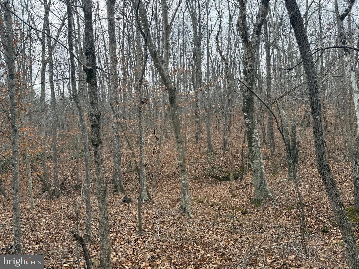 LOT 2 HARDWARE RD, ARVONIA, Virginia 23004, ,Land,For sale,LOT 2 HARDWARE RD,VABH2000260 MLS # VABH2000260 LOT 2 HARDWARE RD, ARVONIA, Virginia 23004, ,Land,For sale,LOT 2 HARDWARE RD,VABH2000260 MLS # VABH2000260