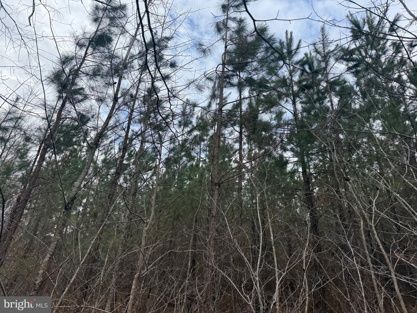 LOT 2 HARDWARE RD, ARVONIA, Virginia 23004, ,Land,For sale,LOT 2 HARDWARE RD,VABH2000260 MLS # VABH2000260 LOT 2 HARDWARE RD, ARVONIA, Virginia 23004, ,Land,For sale,LOT 2 HARDWARE RD,VABH2000260 MLS # VABH2000260