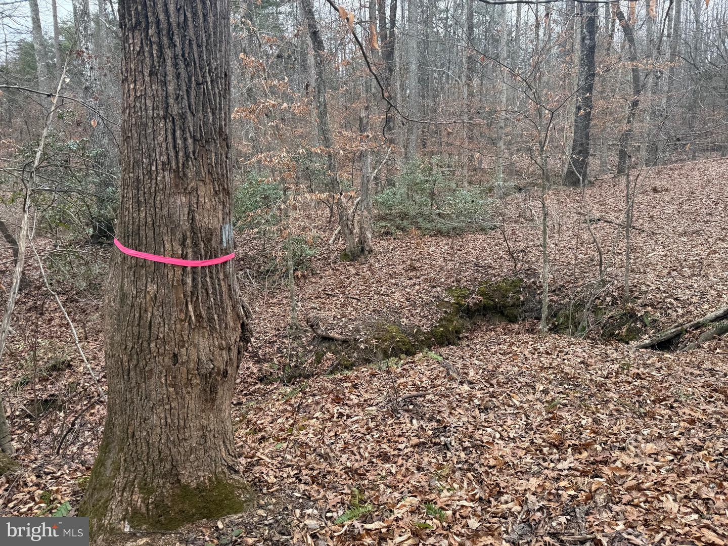 LOT 2 HARDWARE RD, ARVONIA, Virginia 23004, ,Land,For sale,LOT 2 HARDWARE RD,VABH2000260 MLS # VABH2000260 LOT 2 HARDWARE RD, ARVONIA, Virginia 23004, ,Land,For sale,LOT 2 HARDWARE RD,VABH2000260 MLS # VABH2000260