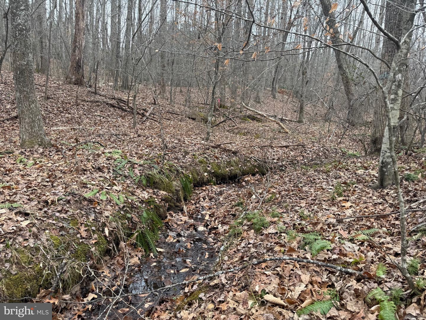 LOT 2 HARDWARE RD, ARVONIA, Virginia 23004, ,Land,For sale,LOT 2 HARDWARE RD,VABH2000260 MLS # VABH2000260 LOT 2 HARDWARE RD, ARVONIA, Virginia 23004, ,Land,For sale,LOT 2 HARDWARE RD,VABH2000260 MLS # VABH2000260