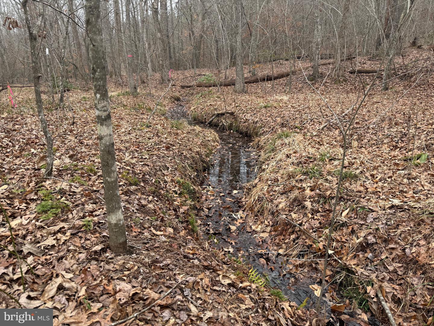 LOT 2 HARDWARE RD, ARVONIA, Virginia 23004, ,Land,For sale,LOT 2 HARDWARE RD,VABH2000260 MLS # VABH2000260 LOT 2 HARDWARE RD, ARVONIA, Virginia 23004, ,Land,For sale,LOT 2 HARDWARE RD,VABH2000260 MLS # VABH2000260