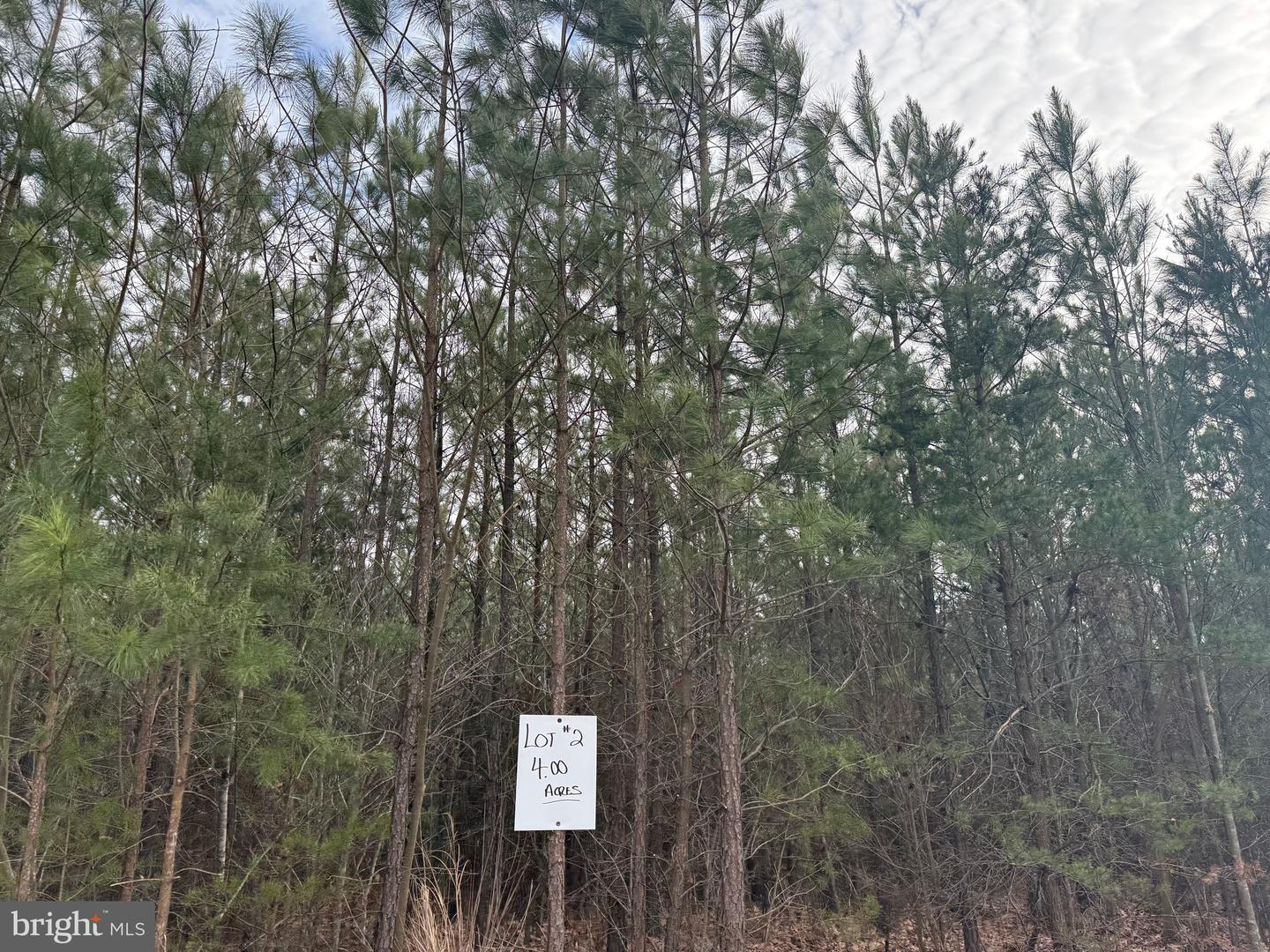 LOT 2 HARDWARE RD, ARVONIA, Virginia 23004, ,Land,For sale,LOT 2 HARDWARE RD,VABH2000260 MLS # VABH2000260 LOT 2 HARDWARE RD, ARVONIA, Virginia 23004, ,Land,For sale,LOT 2 HARDWARE RD,VABH2000260 MLS # VABH2000260