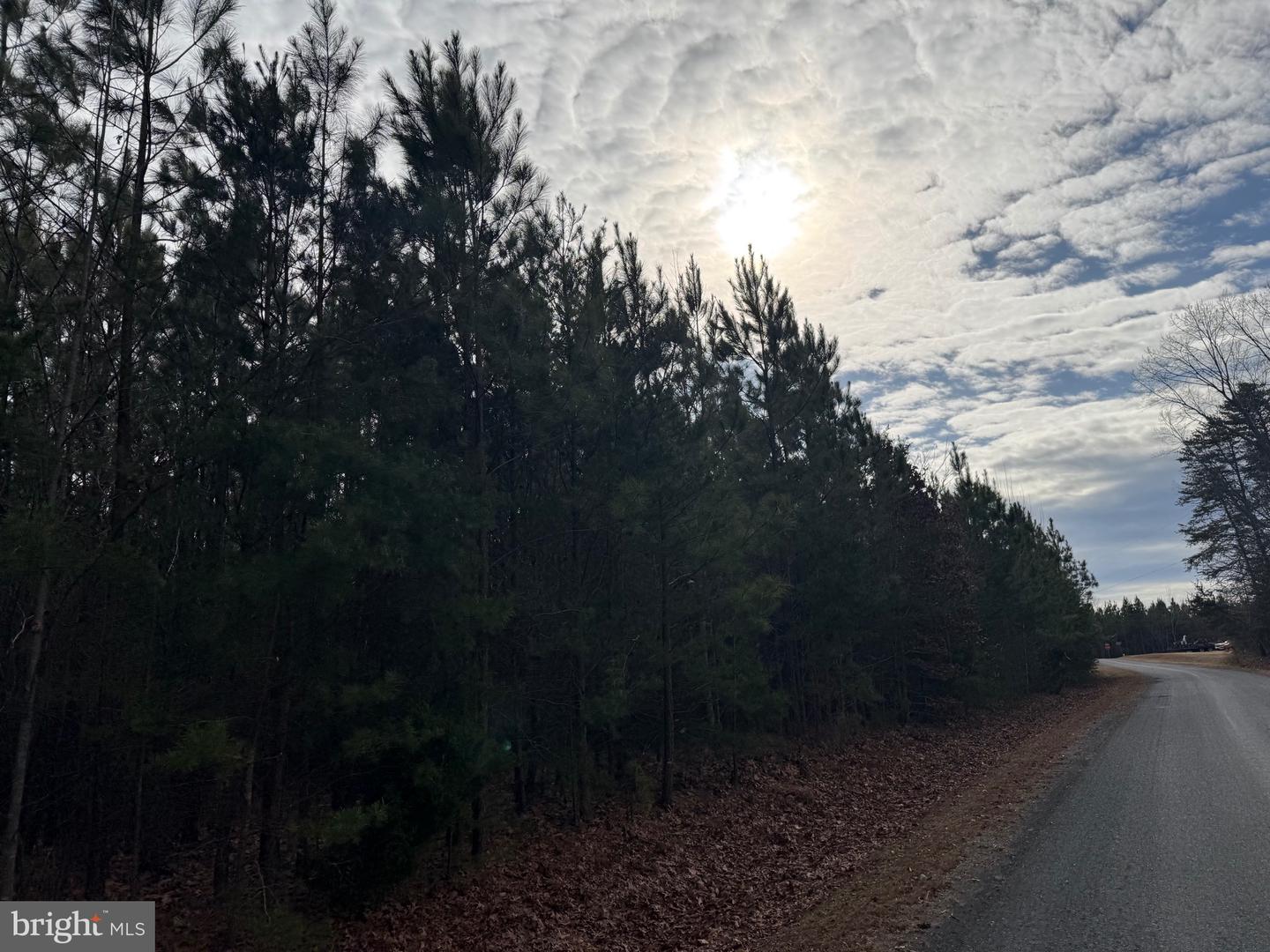 LOT 2 HARDWARE RD, ARVONIA, Virginia 23004, ,Land,For sale,LOT 2 HARDWARE RD,VABH2000260 MLS # VABH2000260 LOT 2 HARDWARE RD, ARVONIA, Virginia 23004, ,Land,For sale,LOT 2 HARDWARE RD,VABH2000260 MLS # VABH2000260