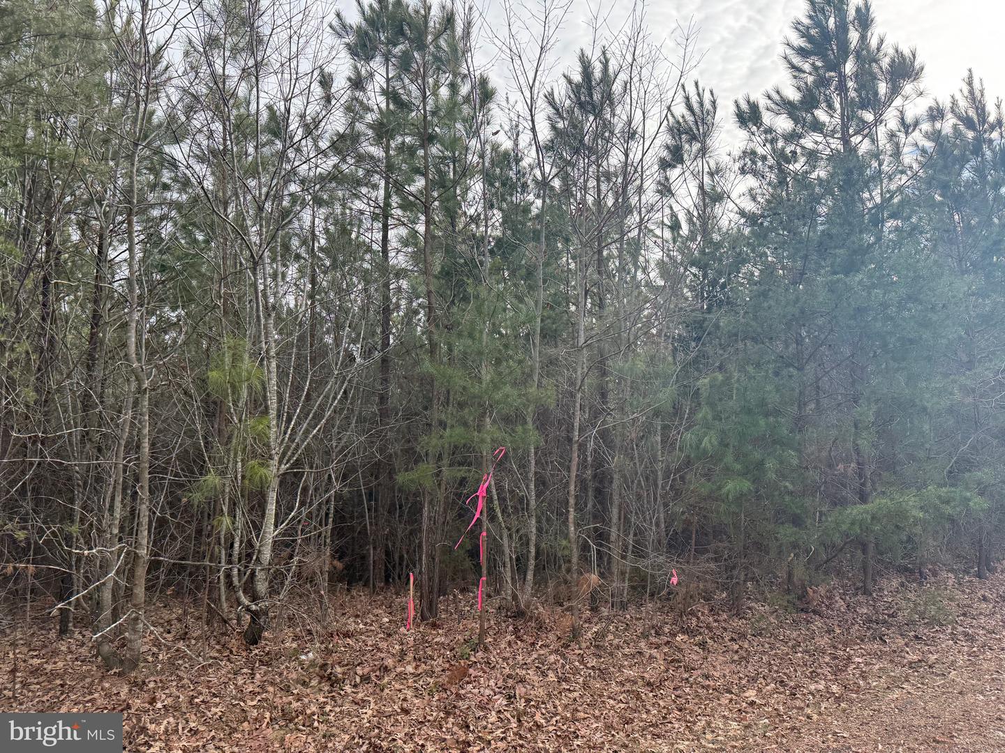 LOT 2 HARDWARE RD, ARVONIA, Virginia 23004, ,Land,For sale,LOT 2 HARDWARE RD,VABH2000260 MLS # VABH2000260 LOT 2 HARDWARE RD, ARVONIA, Virginia 23004, ,Land,For sale,LOT 2 HARDWARE RD,VABH2000260 MLS # VABH2000260