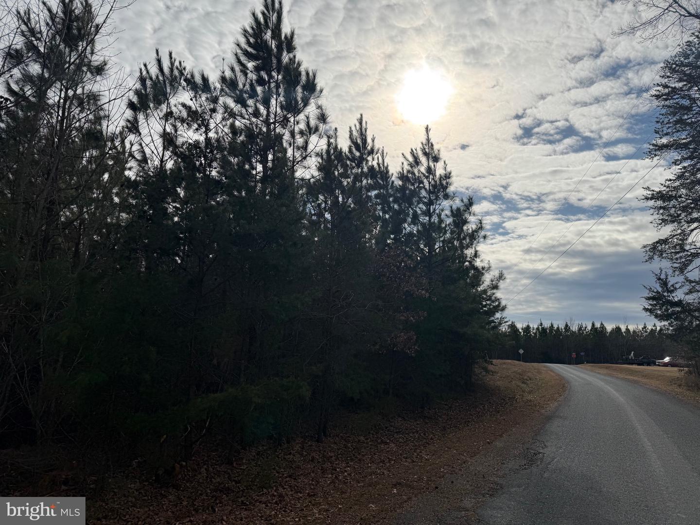 LOT 2 HARDWARE RD, ARVONIA, Virginia 23004, ,Land,For sale,LOT 2 HARDWARE RD,VABH2000260 MLS # VABH2000260 LOT 2 HARDWARE RD, ARVONIA, Virginia 23004, ,Land,For sale,LOT 2 HARDWARE RD,VABH2000260 MLS # VABH2000260