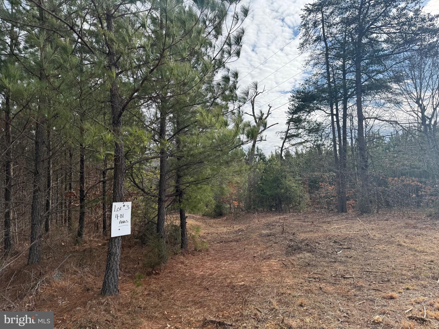 LOT 3 HARDWARE RD, ARVONIA, Virginia 23004, ,Land,For sale,LOT 3 HARDWARE RD,VABH2000262 MLS # VABH2000262
