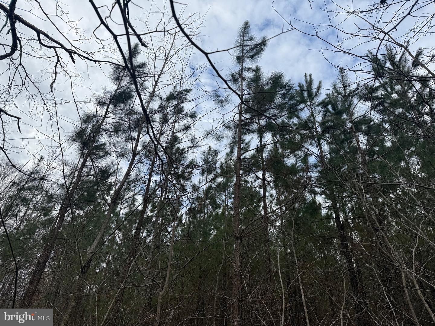 LOT 3 HARDWARE RD, ARVONIA, Virginia 23004, ,Land,For sale,LOT 3 HARDWARE RD,VABH2000262 MLS # VABH2000262