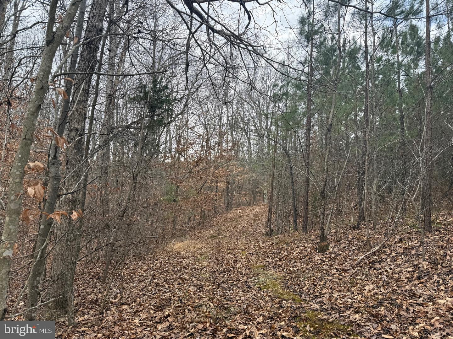 LOT 3 HARDWARE RD, ARVONIA, Virginia 23004, ,Land,For sale,LOT 3 HARDWARE RD,VABH2000262 MLS # VABH2000262