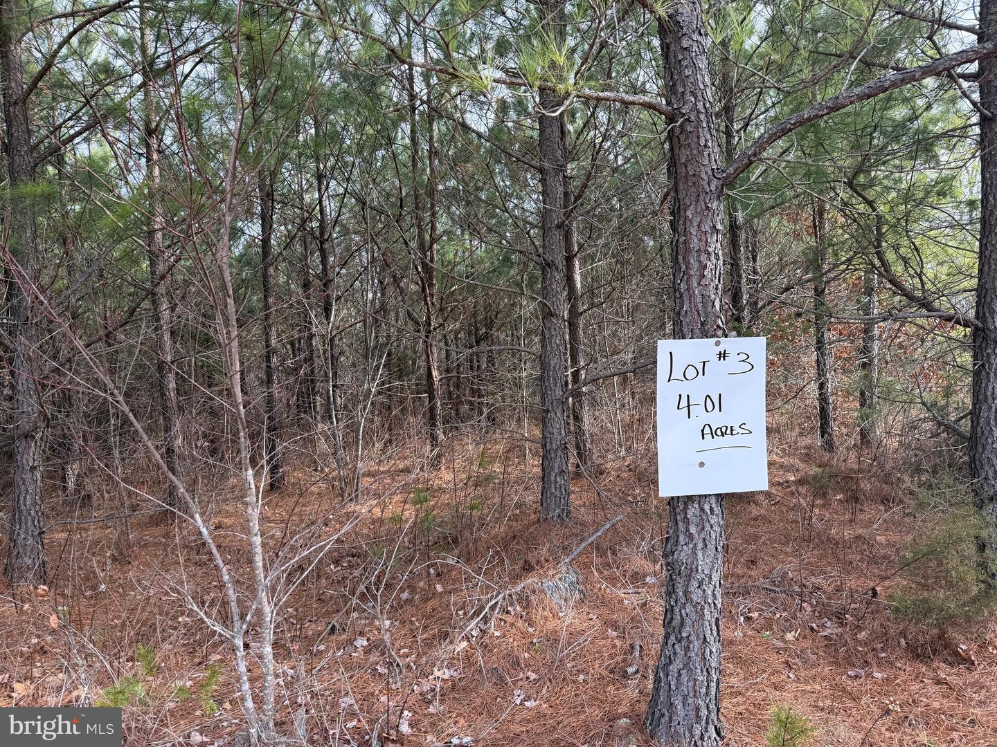 LOT 3 HARDWARE RD, ARVONIA, Virginia 23004, ,Land,For sale,LOT 3 HARDWARE RD,VABH2000262 MLS # VABH2000262