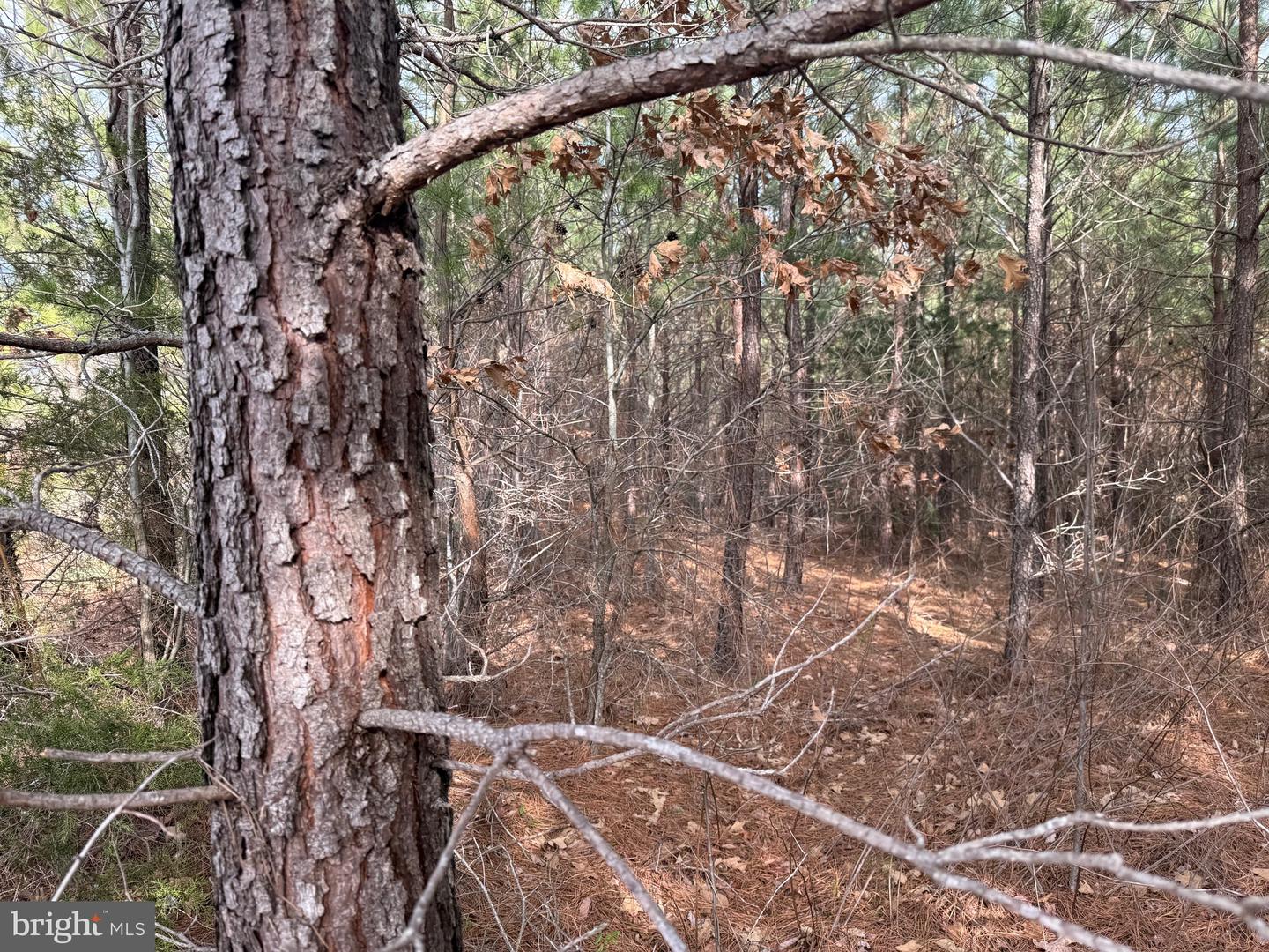 LOT 3 HARDWARE RD, ARVONIA, Virginia 23004, ,Land,For sale,LOT 3 HARDWARE RD,VABH2000262 MLS # VABH2000262