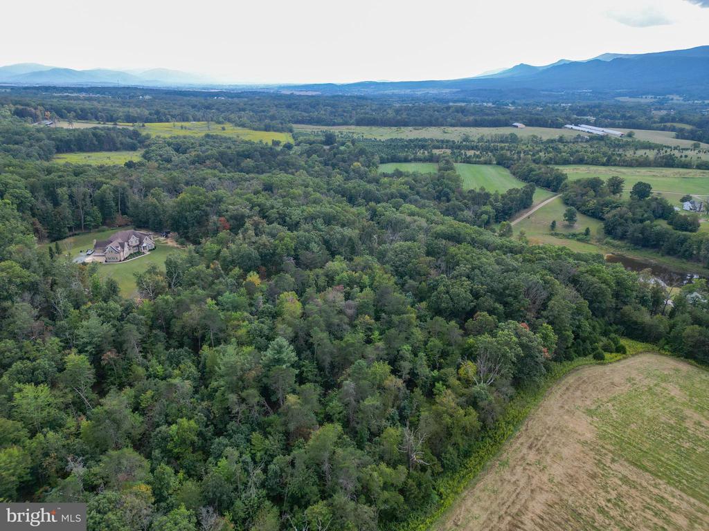 385 S MCDANIEL LN, SHENANDOAH, Virginia 22849, ,Land,385 S MCDANIEL LN,VAPA2005490 MLS # VAPA2005490