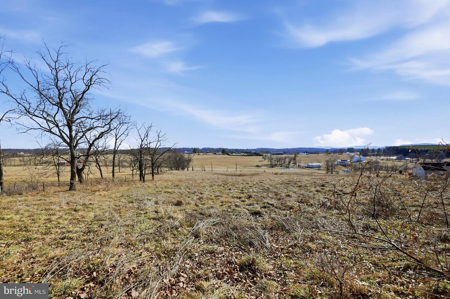 TBD GOUGH RD, WINCHESTER, Virginia 22602, ,Land,For sale,TBD GOUGH RD,VAFV2038936 MLS # VAFV2038936