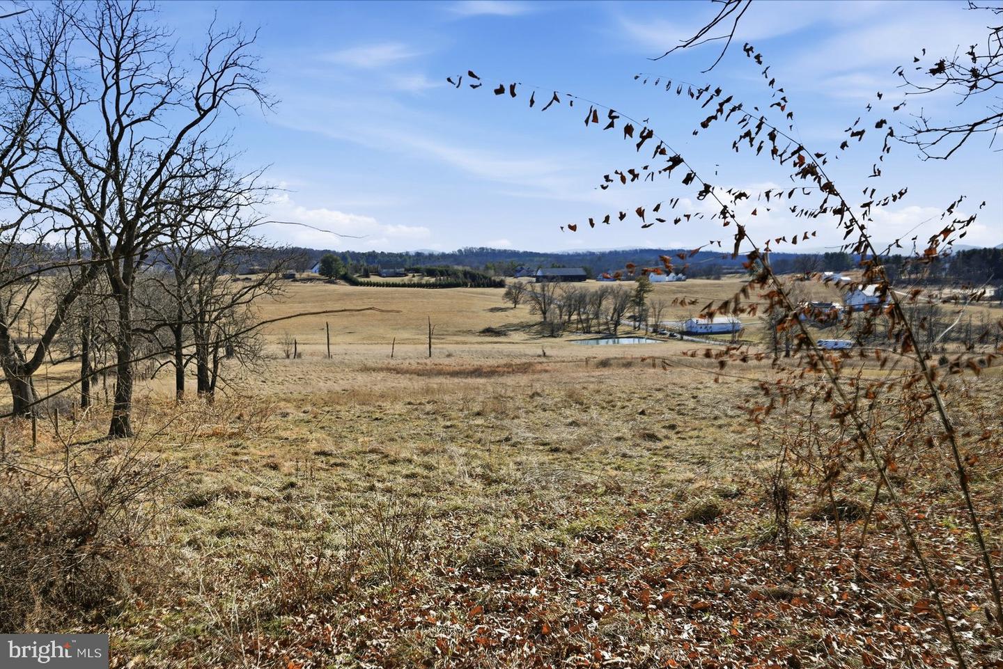 TBD GOUGH RD, WINCHESTER, Virginia 22602, ,Land,For sale,TBD GOUGH RD,VAFV2038936 MLS # VAFV2038936