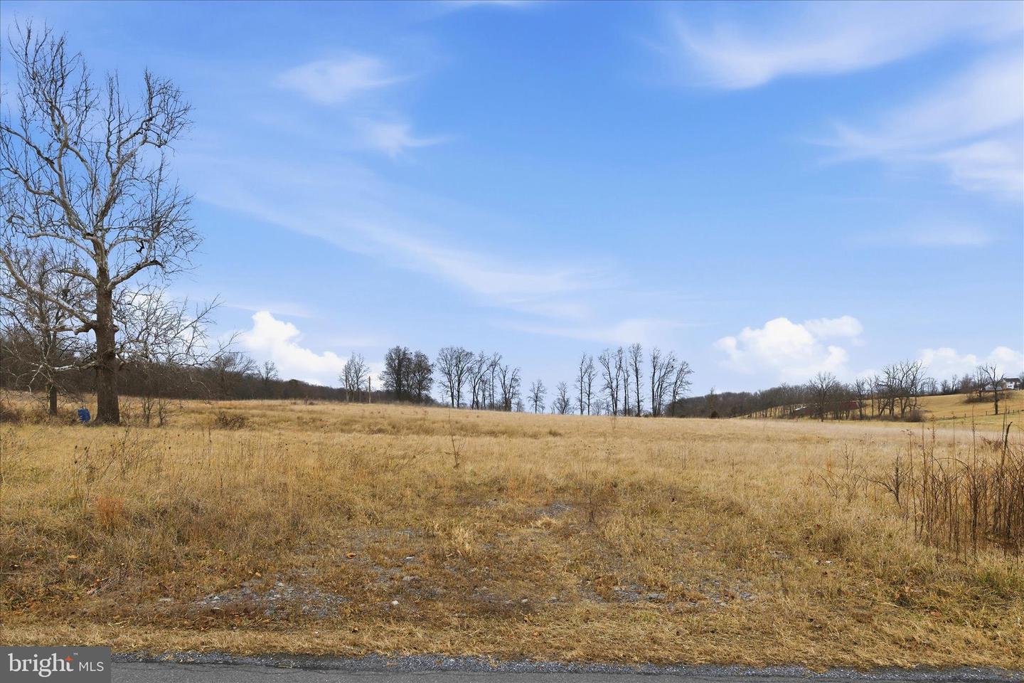 TBD GOUGH RD, WINCHESTER, Virginia 22602, ,Land,For sale,TBD GOUGH RD,VAFV2038936 MLS # VAFV2038936