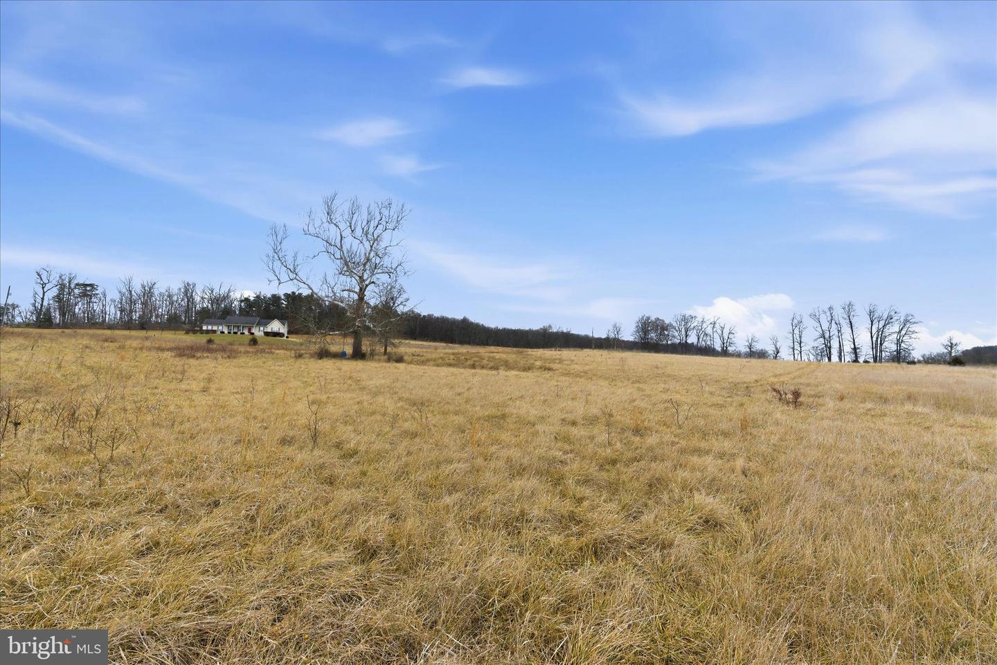 TBD GOUGH RD, WINCHESTER, Virginia 22602, ,Land,For sale,TBD GOUGH RD,VAFV2038936 MLS # VAFV2038936