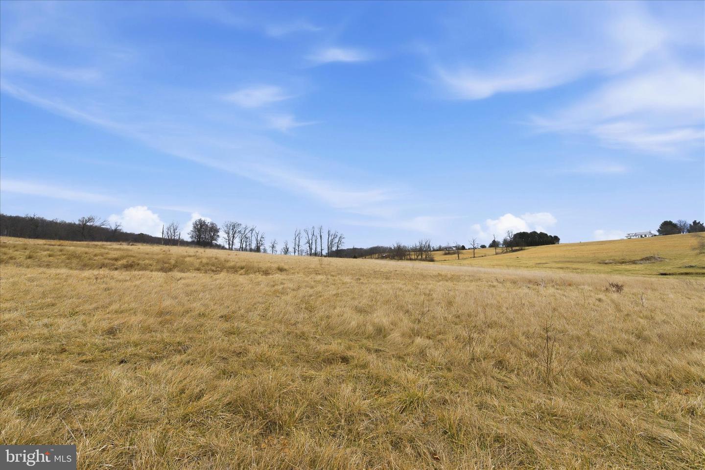 TBD GOUGH RD, WINCHESTER, Virginia 22602, ,Land,For sale,TBD GOUGH RD,VAFV2038936 MLS # VAFV2038936