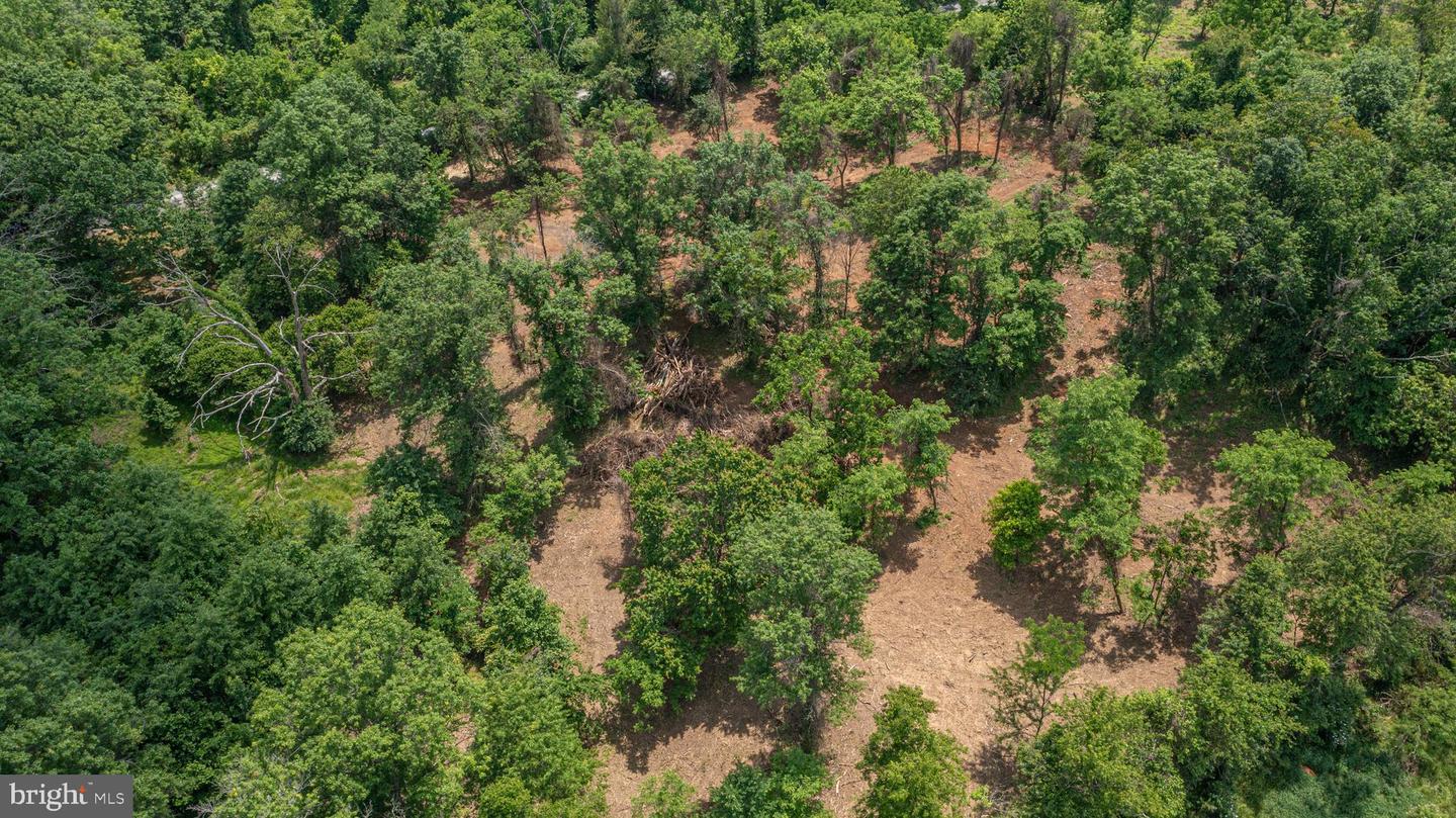 0 AUSTIN GROVE RD, BLUEMONT, Virginia 20135, ,Land,For sale,0 AUSTIN GROVE RD,VALO2114208 MLS # VALO2114208