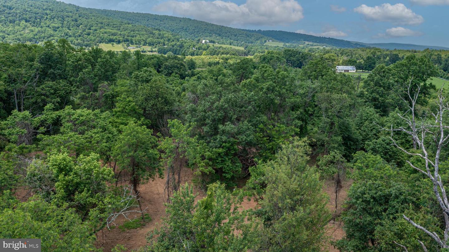 0 AUSTIN GROVE RD, BLUEMONT, Virginia 20135, ,Land,For sale,0 AUSTIN GROVE RD,VALO2114208 MLS # VALO2114208