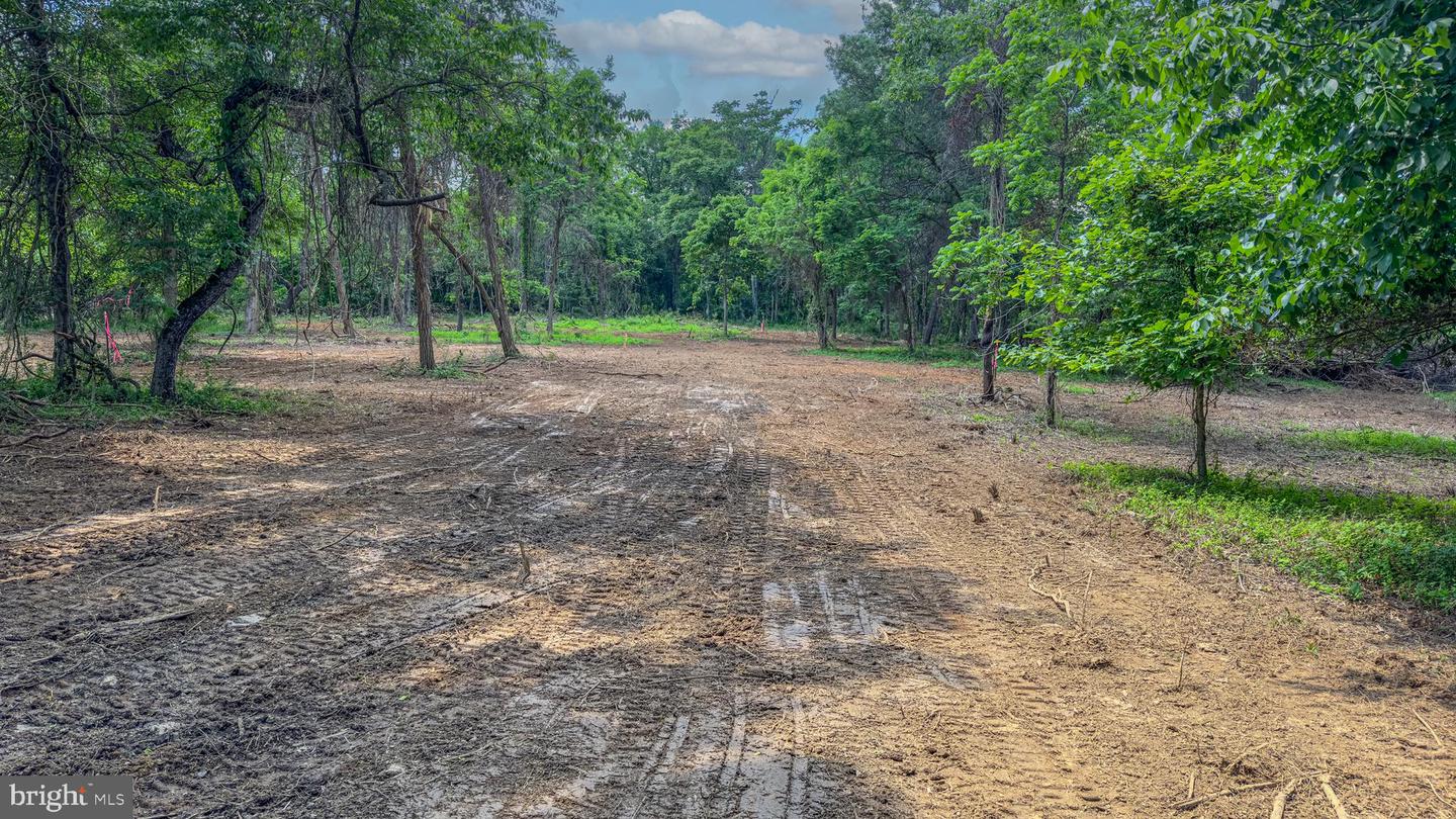 0 AUSTIN GROVE RD, BLUEMONT, Virginia 20135, ,Land,For sale,0 AUSTIN GROVE RD,VALO2114208 MLS # VALO2114208