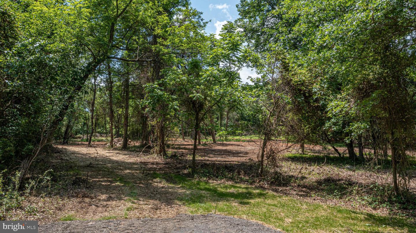 0 AUSTIN GROVE RD, BLUEMONT, Virginia 20135, ,Land,For sale,0 AUSTIN GROVE RD,VALO2114208 MLS # VALO2114208