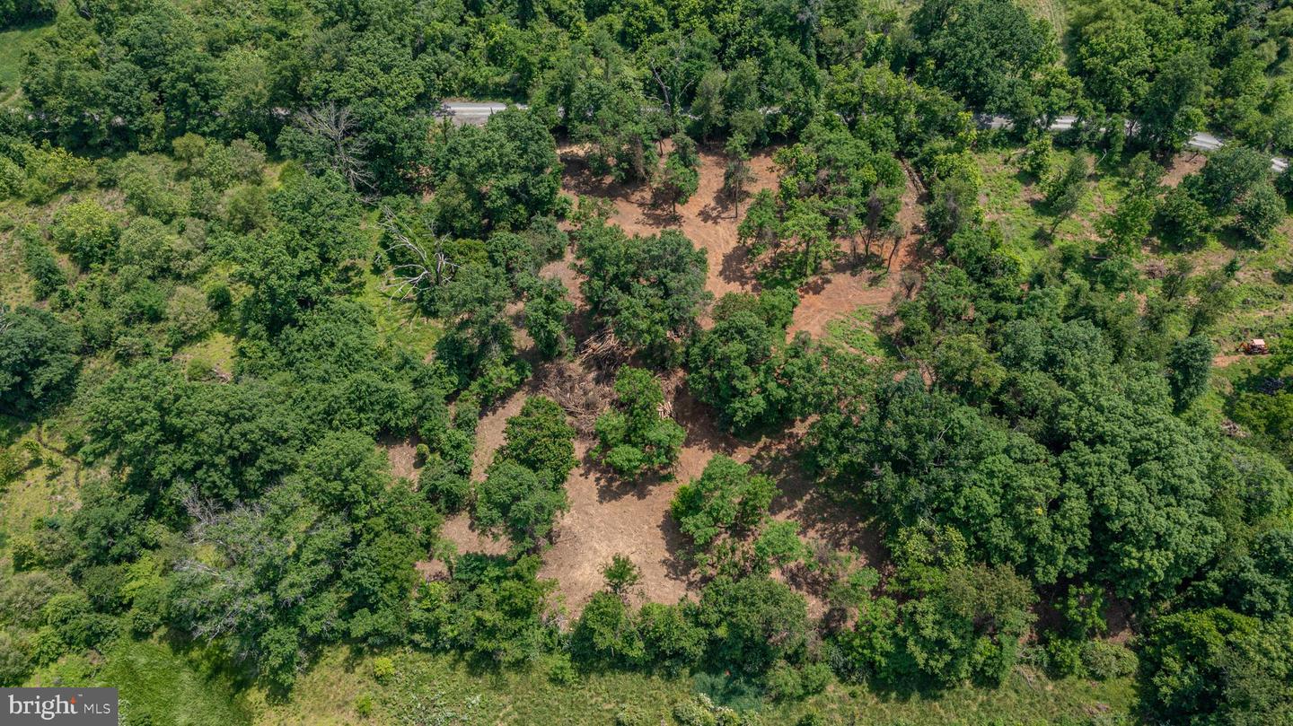 0 AUSTIN GROVE RD, BLUEMONT, Virginia 20135, ,Land,For sale,0 AUSTIN GROVE RD,VALO2114208 MLS # VALO2114208