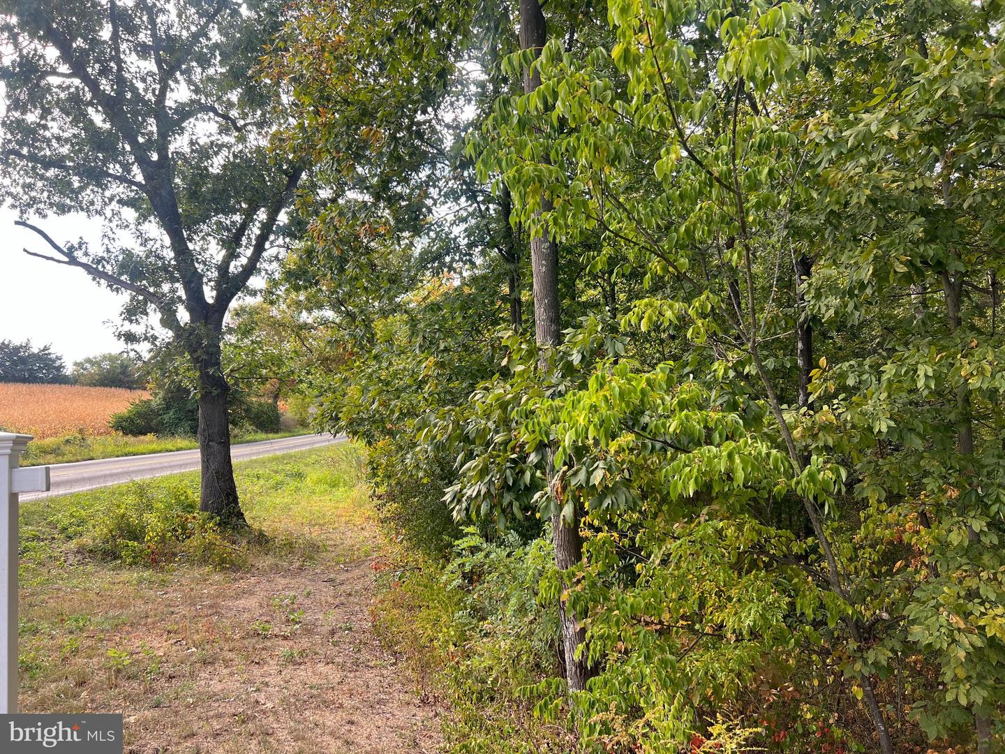 LOT 2 COVEY LANE, WINCHESTER, Virginia 22602, ,Land,For sale,LOT 2 COVEY LANE,VAFV2039078 MLS # VAFV2039078