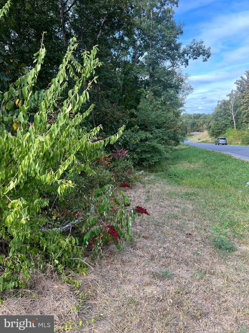 LOT 2 COVEY LANE, WINCHESTER, Virginia 22602, ,Land,For sale,LOT 2 COVEY LANE,VAFV2039078 MLS # VAFV2039078